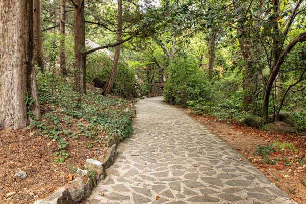 Stone Walkway Repair in Lubbock