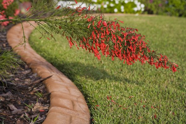 Brick Edging in Lubbock