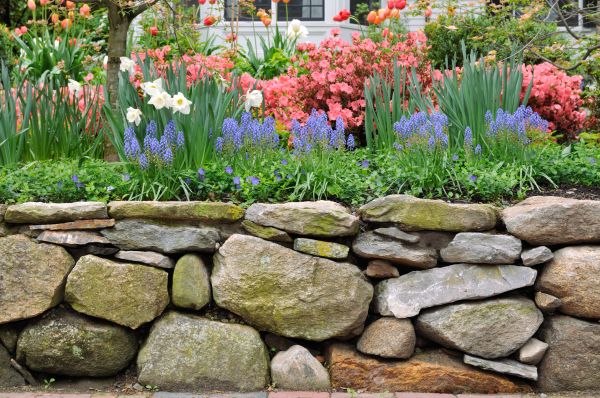 Stone Wall Hardscaping in Lubbock