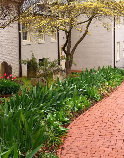 Brick Flatwork Repair in Lubbock